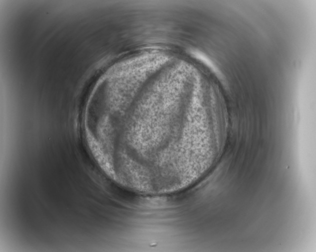 X0000088731403200706212030