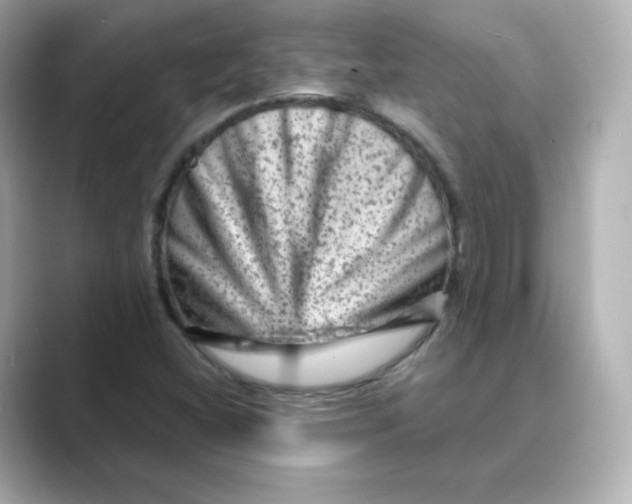X0000088731404200706212030