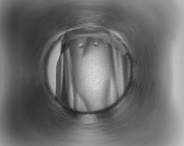 X0000088731406200706212031