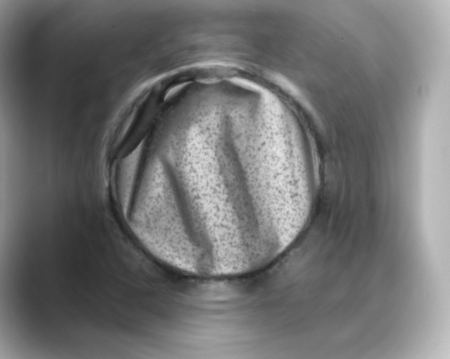 X0000088731408200706212031