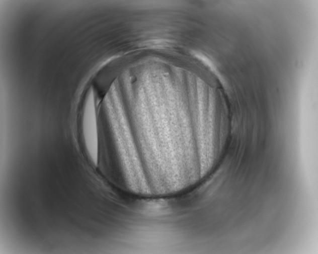 X0000088731410200706212031
