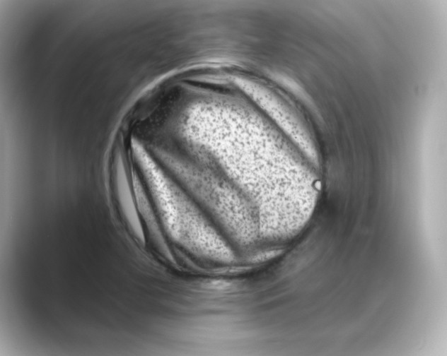 X0000088731412200706212031