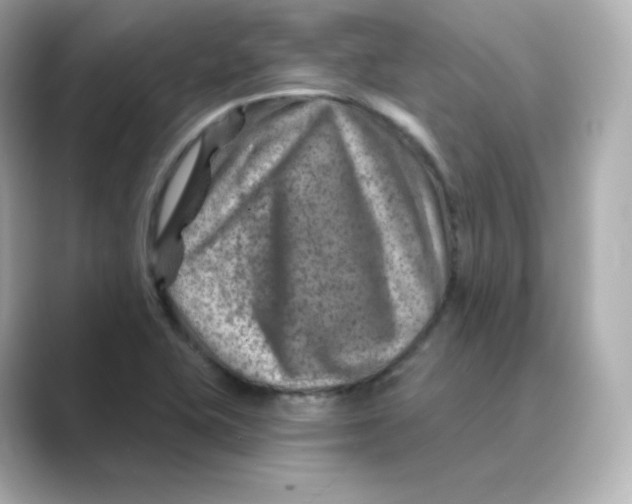X0000088731415200706212031