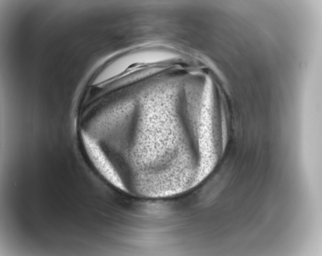X0000088731416200706212031