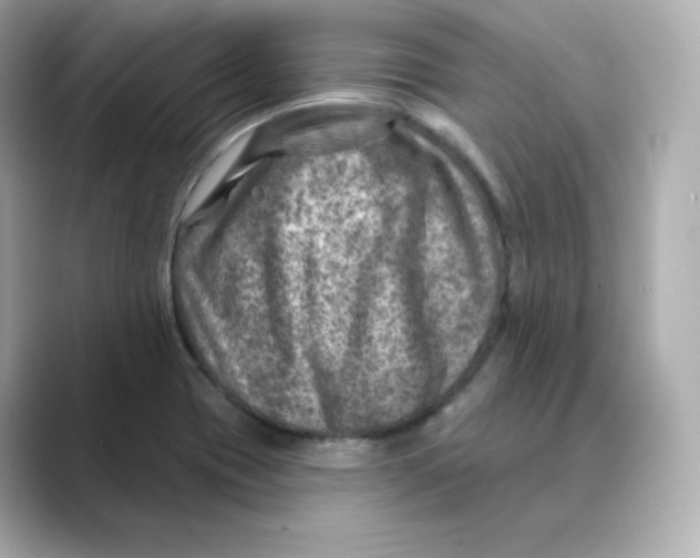 X0000088731417200706212031