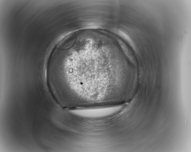 X0000088731419200706212031
