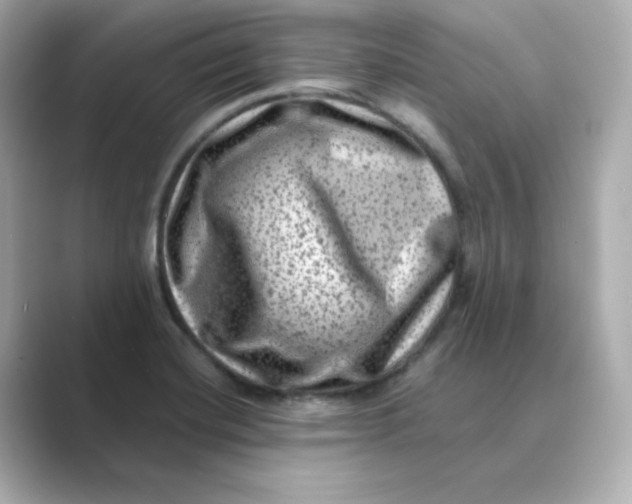 X0000088731420200706212031
