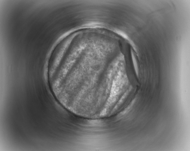 X0000088731421200706212031