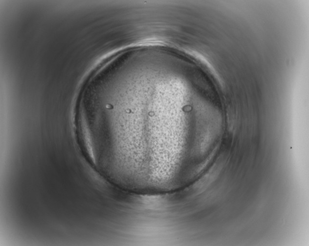 X0000088731422200706212031