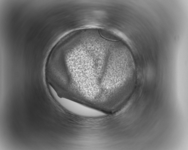 X0000088731423200706212031