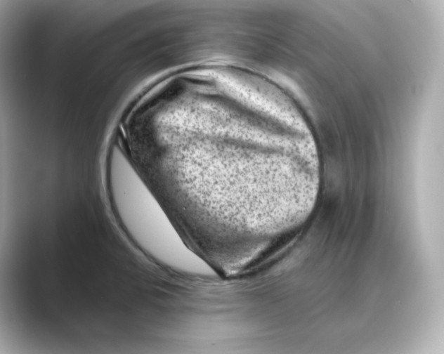 X0000088731424200706212031