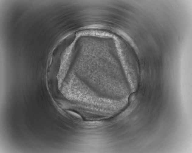 X0000088731425200706212031