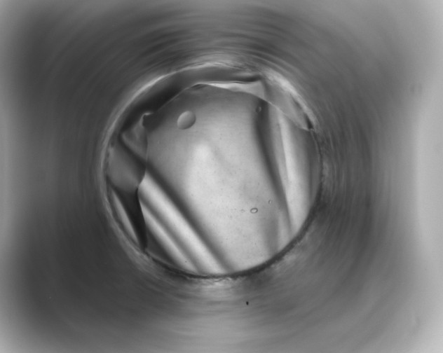 X0000088731426200706212031