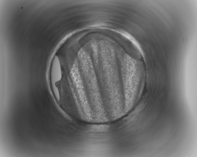 X0000088731429200706212031