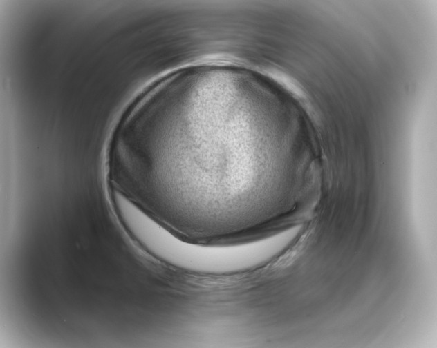 X0000088731430200706212031