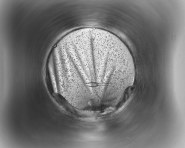 X0000088731432200706212031