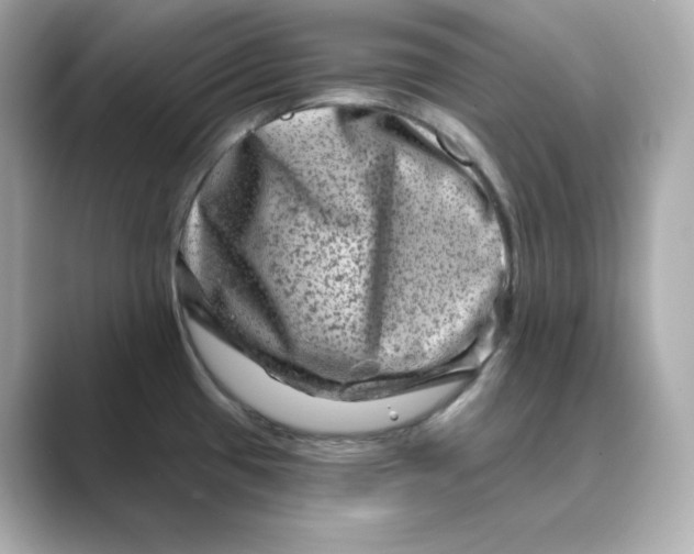 X0000088731433200706212031