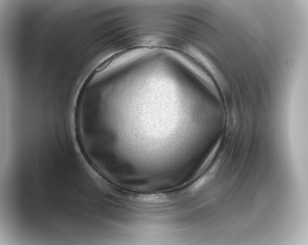 X0000088731434200706212031