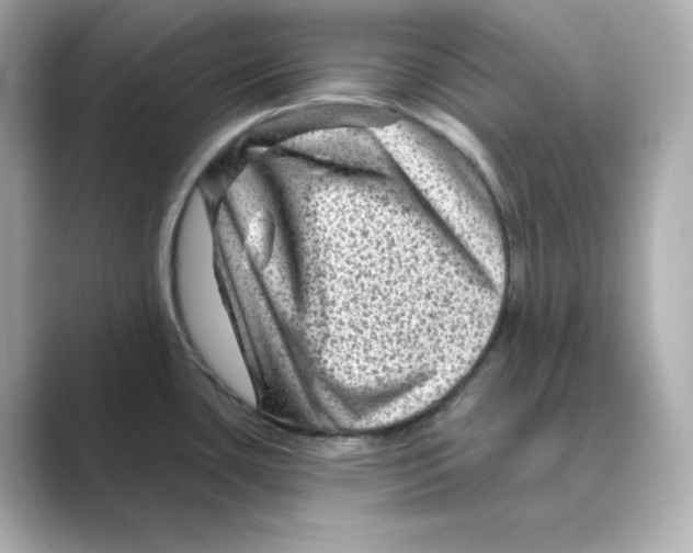 X0000088731435200706212031