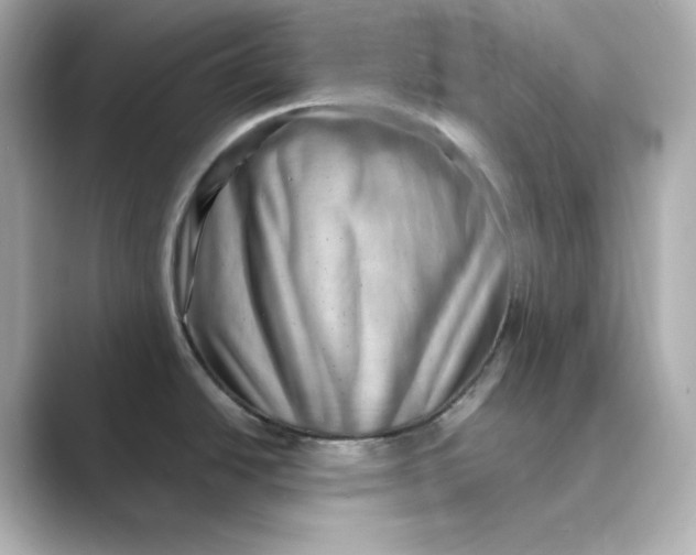 X0000088731438200706212031
