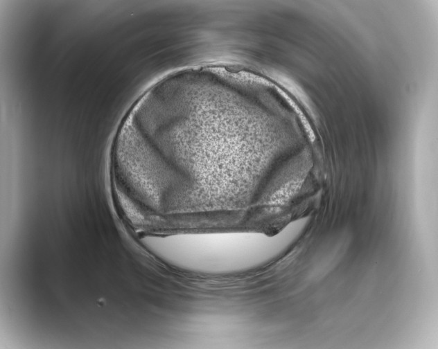 X0000088731439200706212031