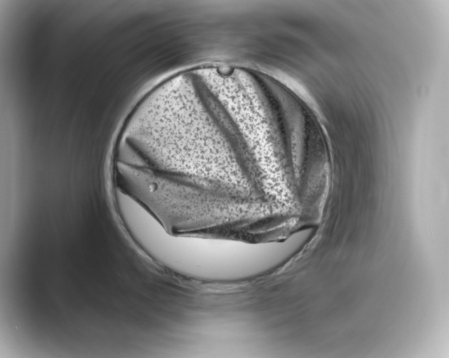 X0000088731440200706212031