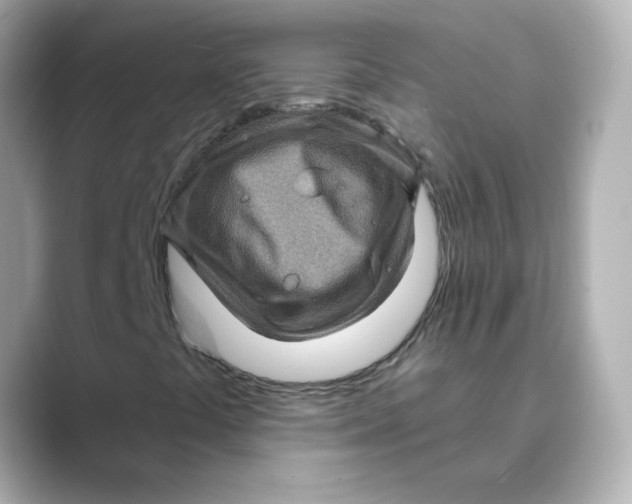 X0000088731441200706212030