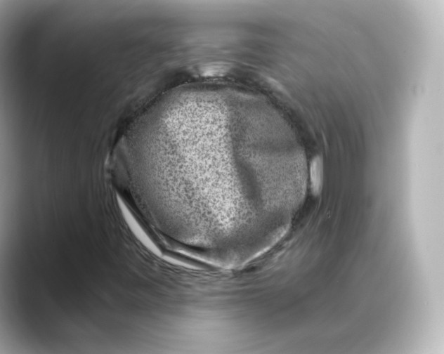 X0000088731443200706212030