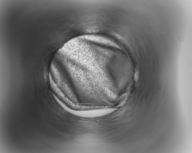 X0000088731444200706212030