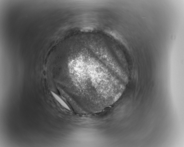 X0000088731445200706212030