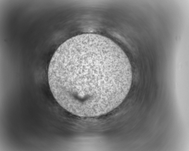 X0000088731446200706212030
