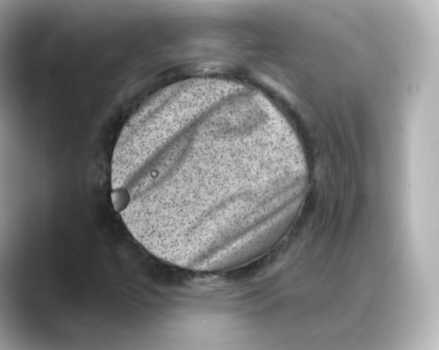 X0000088731447200706212030