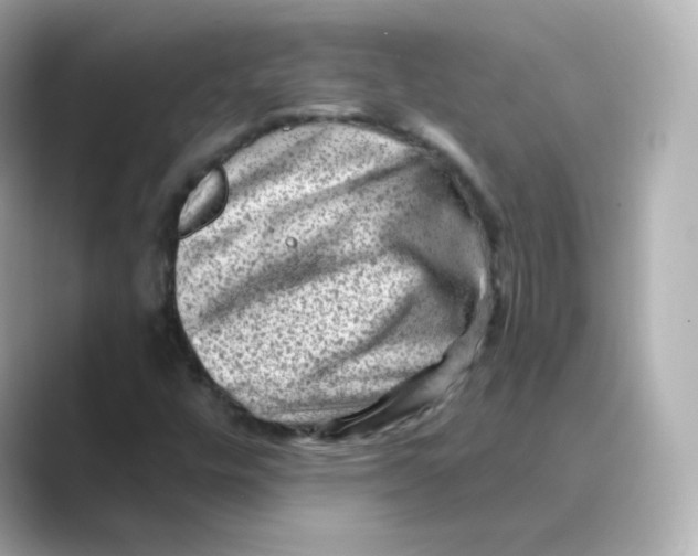 X0000088731448200706212030