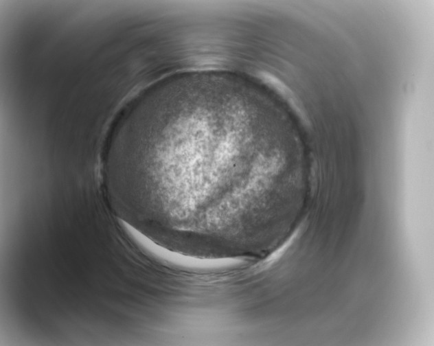 X0000088731449200706212030