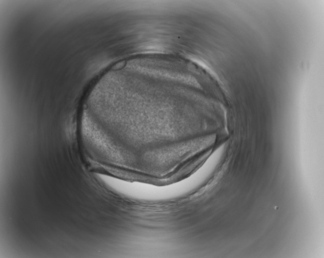 X0000088731450200706212030