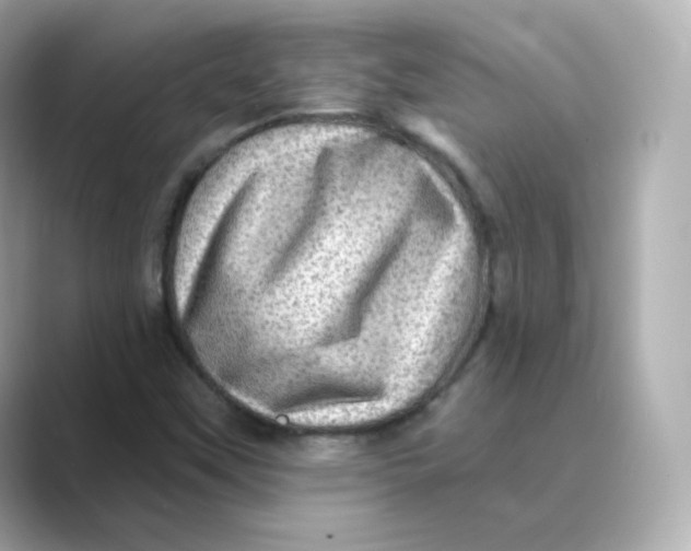 X0000088731451200706212030