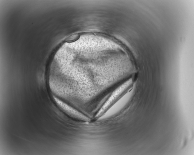 X0000088731452200706212030