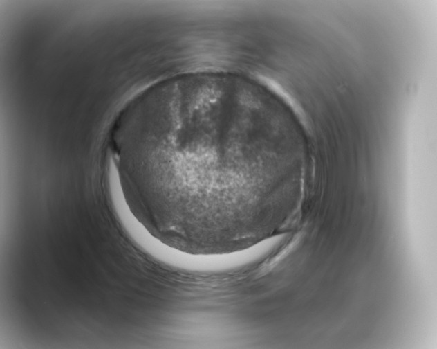 X0000088731453200706212030