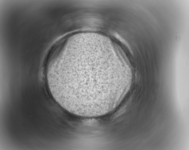 X0000088731454200706212030