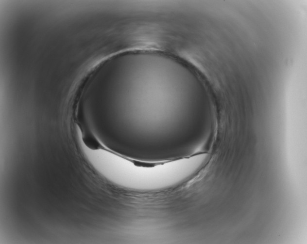 X0000088731455200706212030