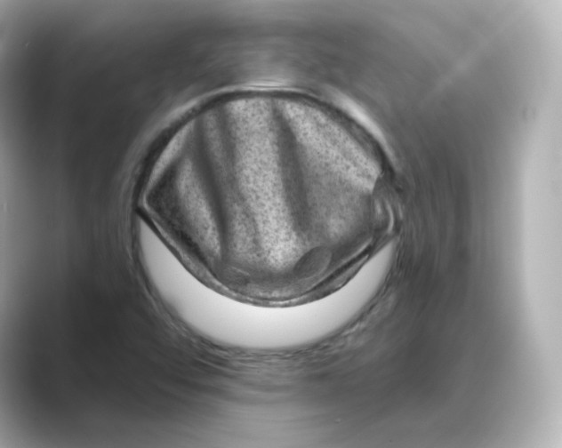 X0000088731456200706212030