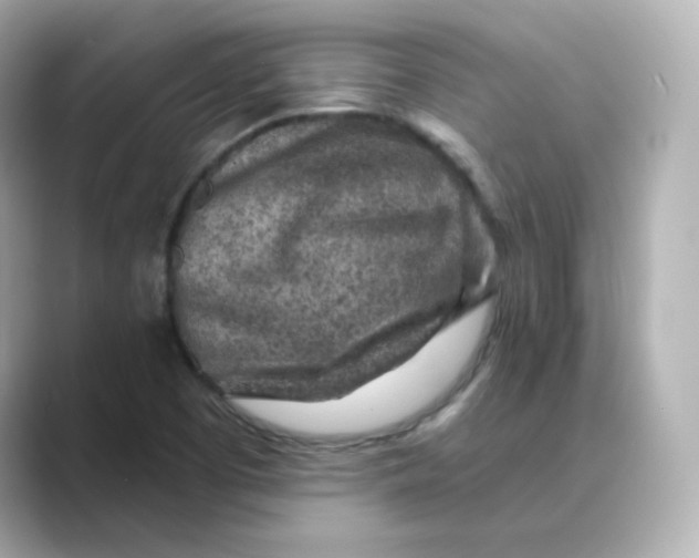 X0000088731457200706212030