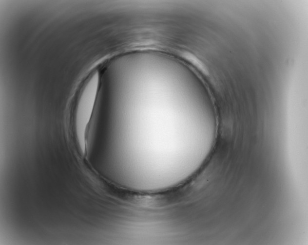 X0000088731458200706212030