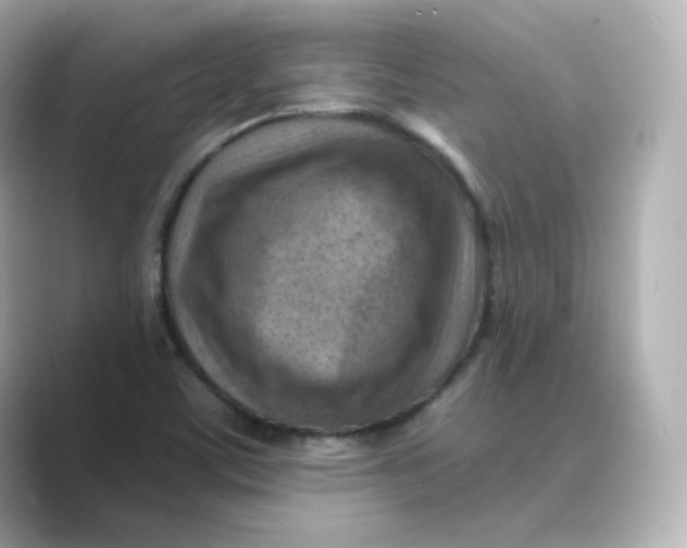 X0000088731459200706212030