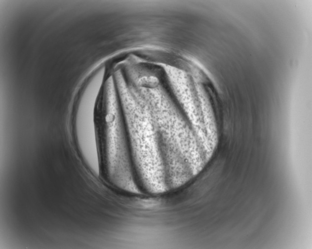 X0000088731460200706212030