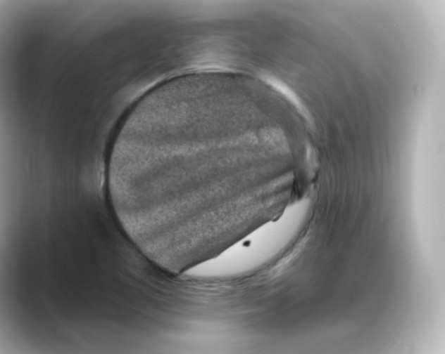 X0000088731461200706212030