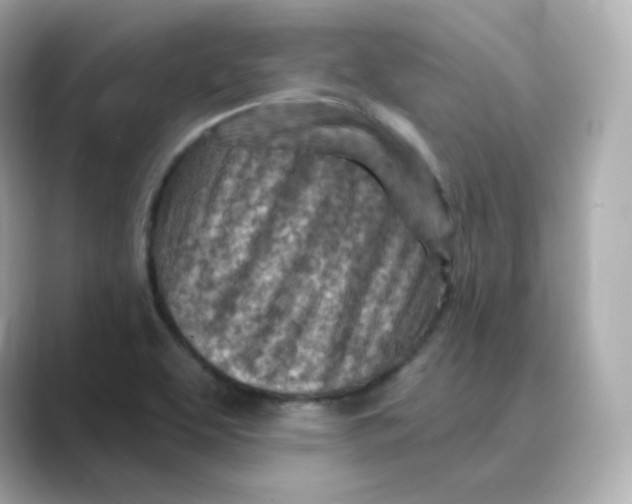 X0000088731463200706212030