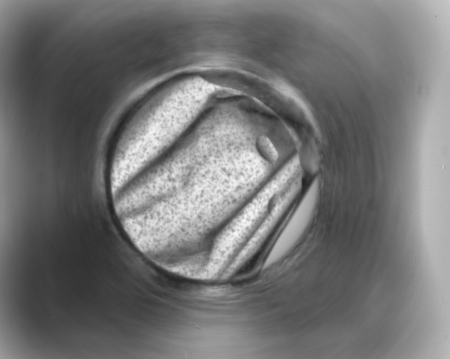X0000088731464200706212030