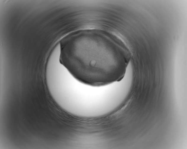 X0000088731465200706212030