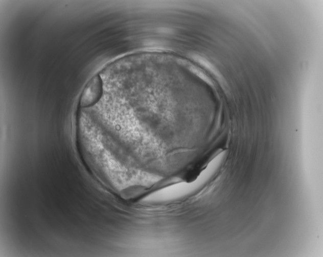 X0000088731467200706212030